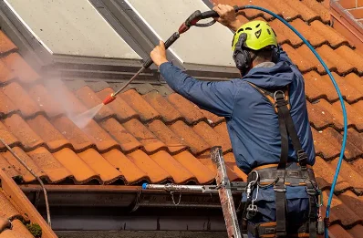 Démoussage et hydrofuge de toiture à Bonnevaux
